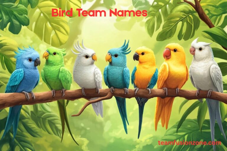bird team names