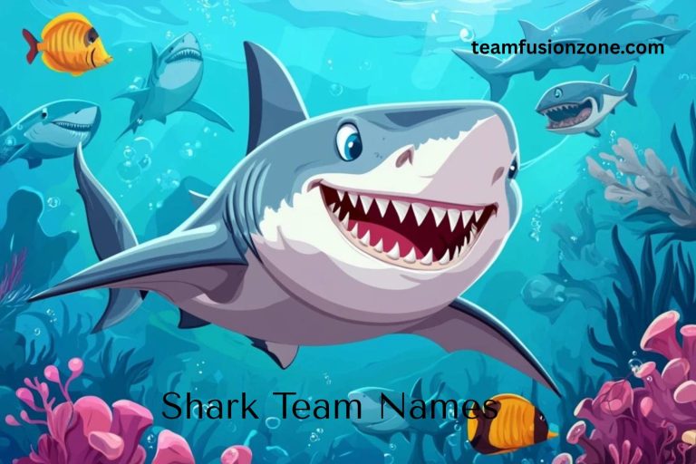 shark team names